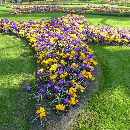 Апарт-отель Nicolette Катвейк-ан-Зе