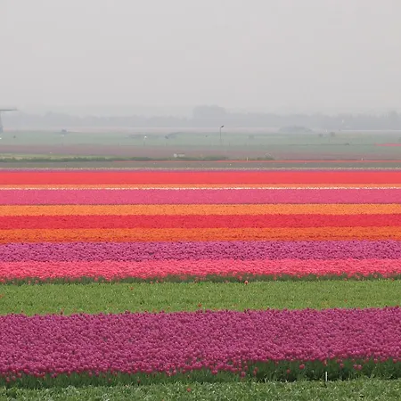 Апарт-отель Nicolette 4*