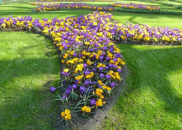 Апарт-отель Nicolette Катвейк-ан-Зе