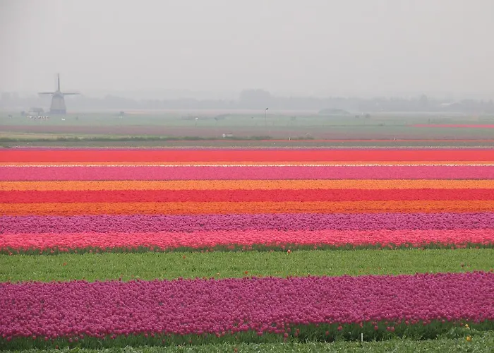 Апарт-отель Nicolette 4*