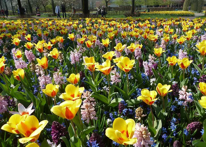 Nicolette 4* Katwijk aan Zee